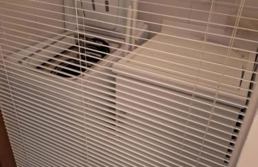 Casa Vacanza Olivegrove - Foto 43