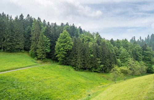 Schreinerhäusle nähe Titisee - Foto 10