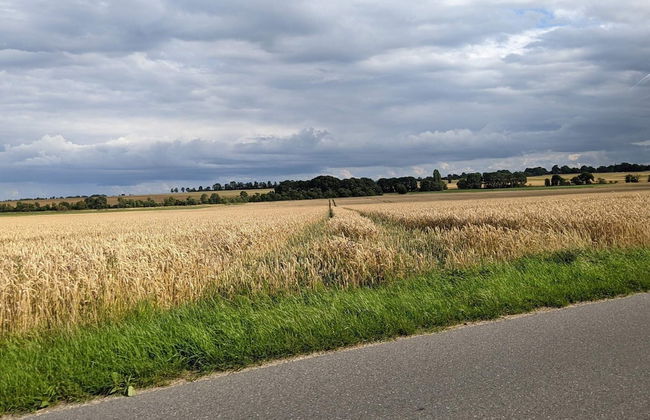 Tranquil Haven by Saksild - By Traum Ferienwohnungen - Foto 12