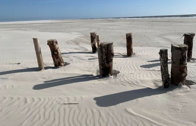 Hasennest Amrum Modern Retreat - Foto 22