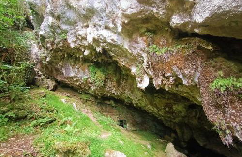 Apartamentos la buganvilla Novales - Foto 9