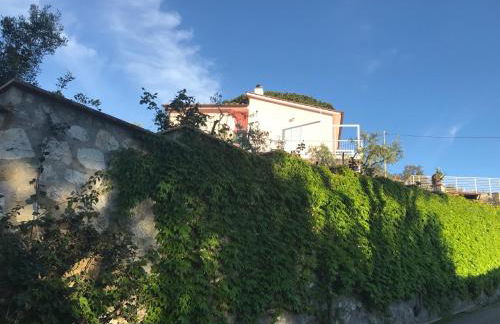 Villa Il Roseto Redinoce - Foto 7