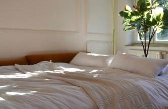 charmanter Altbau in Schleußig mit Balkon - Foto 11