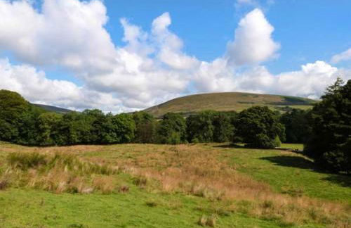 The Old Forge - Foto 16