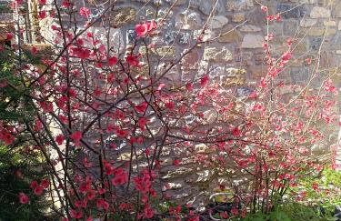 ''The Stone'' - Photo 25