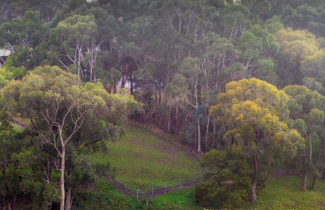 Adelaide Style Accommodation near City - Foto 35