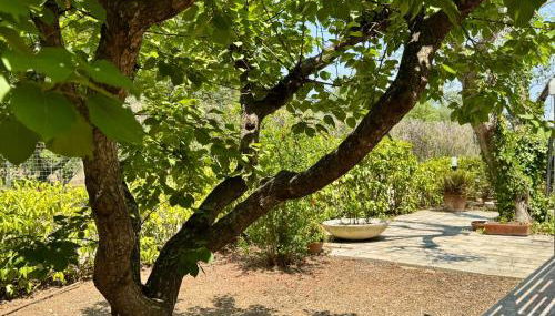 Villa Ciaky - Foto 5, Garden