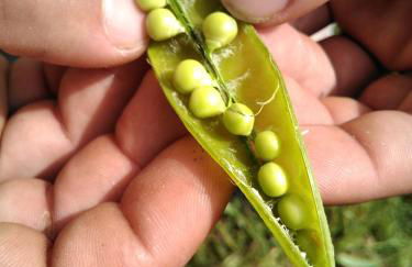 Agroturismo Can Torna AG178 - Photo 15