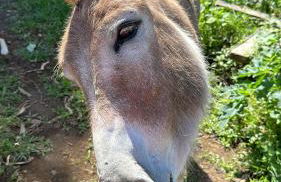 Make It Happen Farm - Photo 20