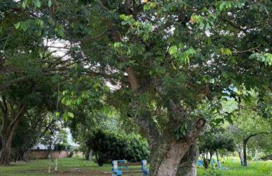 Casa de Praia São Sebastião Ilhabela - Foto 21