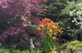 Dom wypoczynkowy na Kaszubach o niezwyklym klimacie - Foto 24