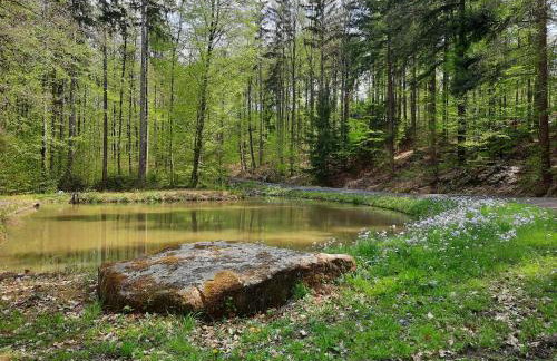 Ferienwohnung Schloss Fischbach - Foto 34