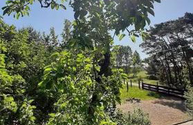 Stodoła HOME&CHILL - Foto 14