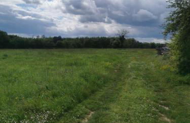 Gîtes aux cœurs des vignes a 10mm du zoo de beauval 3 étoiles - Foto 27