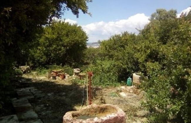 Giardino dei Melograni - Foto 36