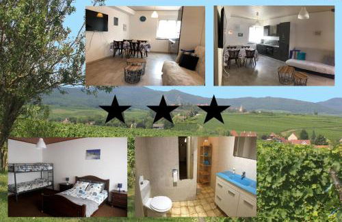 Gite des cigognes bleu - Foto 1