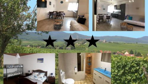 Gite des cigognes bleu - Foto 1