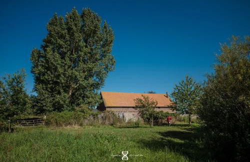 La Grande Pommeraie - Foto 50