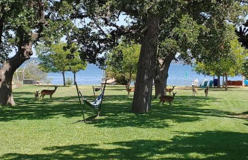 Waterfront Lake Buchanan! - Foto 24