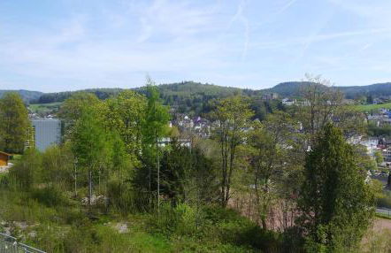 Vulkaneifel-Ferienwohnungen am Felsenpfad - Foto 31
