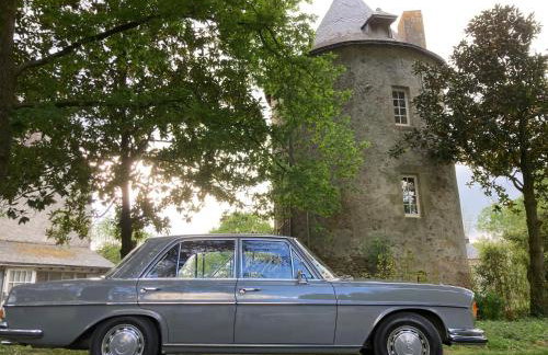 Chateau de la Preuille Gites - Foto 35