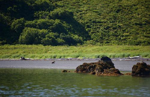 Secluded Waterfront Cottage Rental near Anchorage, Alaska - Foto 13