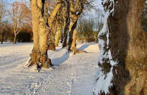 Haus direkt am See, 50m zum Strand, mit Garten & Kamin - Foto 25