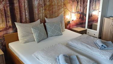 Wohnungen- Christopherhof MJ,Grafenwiesen - Foto 5