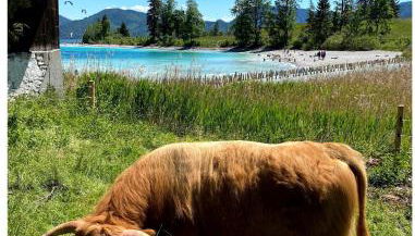 Seeblick Apartment am Walchensee - Foto 3