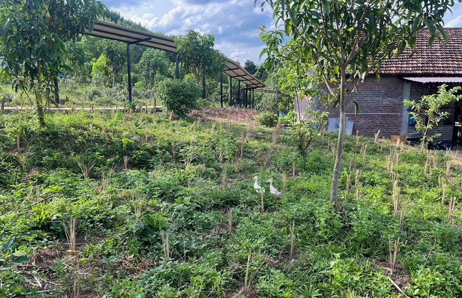 Nguyen Shack Retreat - Foto 66