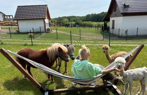 Domki Eden z Ballią - Foto 19