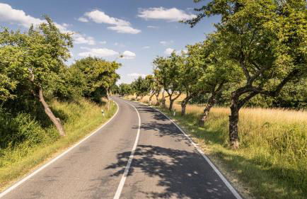 SEEZIEGE Uckermark - Ferienwohnungen am Carwitzer See - Foto 33
