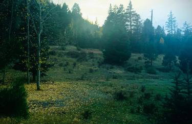 Secluded Retreat-Private HotTub & Beautiful Views - Foto 38