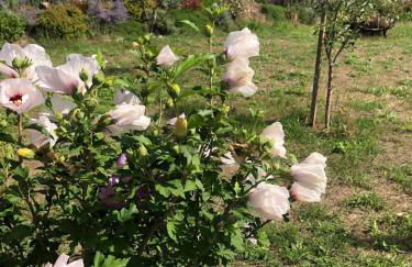 Scheune Zauchwitz - Foto 20