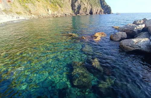 Agriturismo Tenuta Valletti. - Foto 78