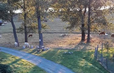 An den Elbwiesen GZ FeWo Elbeblick Nur Nichtraucher - Foto 8