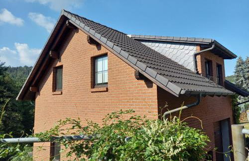 Ferienwohnungen Nibelungenwald - Foto 95