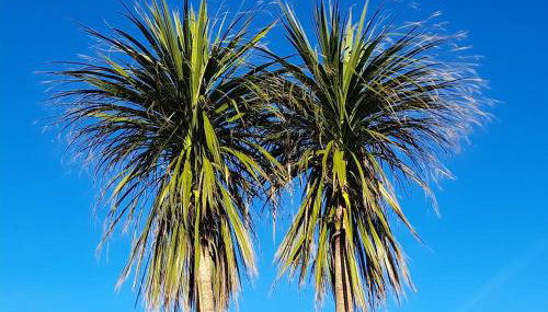 The Granary - Foto 3