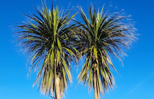 The Granary - Foto 3