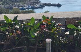 Siroccos Apartment - Photo 54