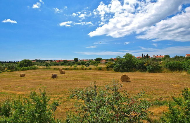 Apartments Daffodils 1002 - Foto 32