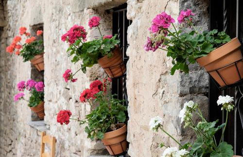 La Borda de Pastores - Foto 7