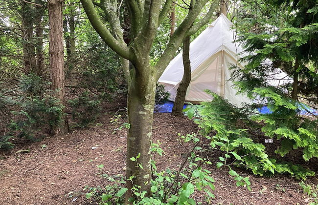Woodlands Basic Bell Tent 2 - Foto 19