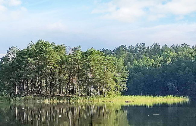 7 Person Holiday Home in Nykvarn-by Traum - Photo 29