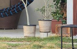 Casa de Praia em Beberibe - House 4k Beberibe, Acomoda até 12 pessoas - Photo 12