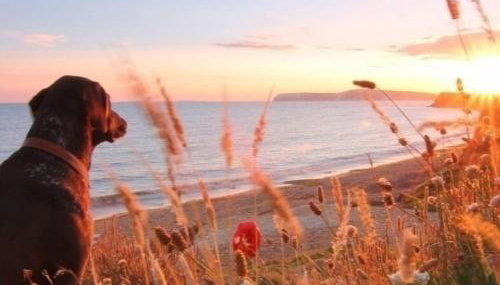 Annexe with Courtyard & Hot Tub Option - Foto 5