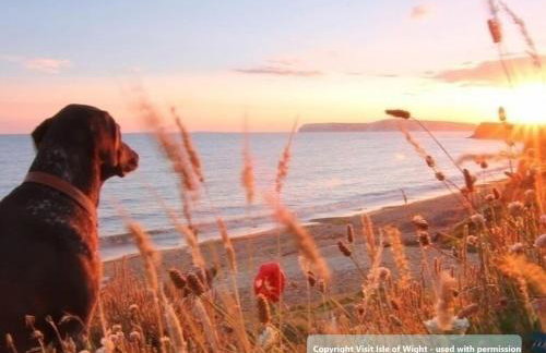 Annexe with Courtyard & Hot Tub Option - Foto 5