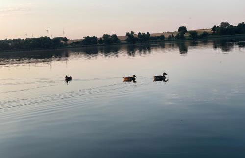 Hexenhüsli Waake - Foto 24