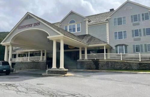 1st Floor Mountain View Suite Ski On Off At Jiminy- Fully Redone Decor - Foto 13