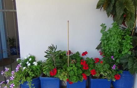 Alexandros Apartments - Foto 27